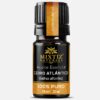 Cedarwood Atlas Essential Oil<br> <i><font color =