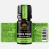 Sweet Fennel Essential Oil<br> <i><font color =